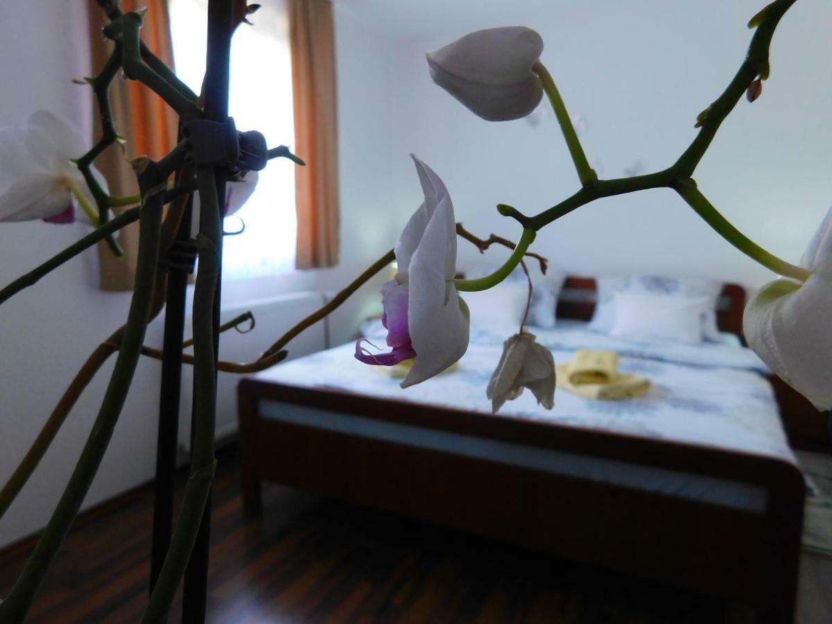 Apartment Petrovic Slunj Dış mekan fotoğraf